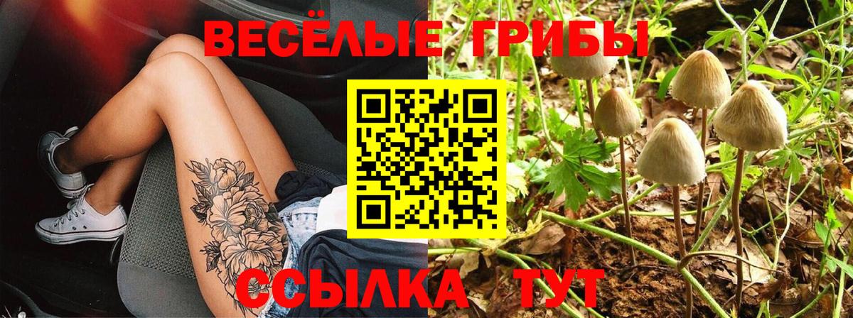 Орёл  Галлюциногенные грибы Psilocybine cubensis  Вход с VPN  Галлюциногенные грибы Psilocybine cubensis 